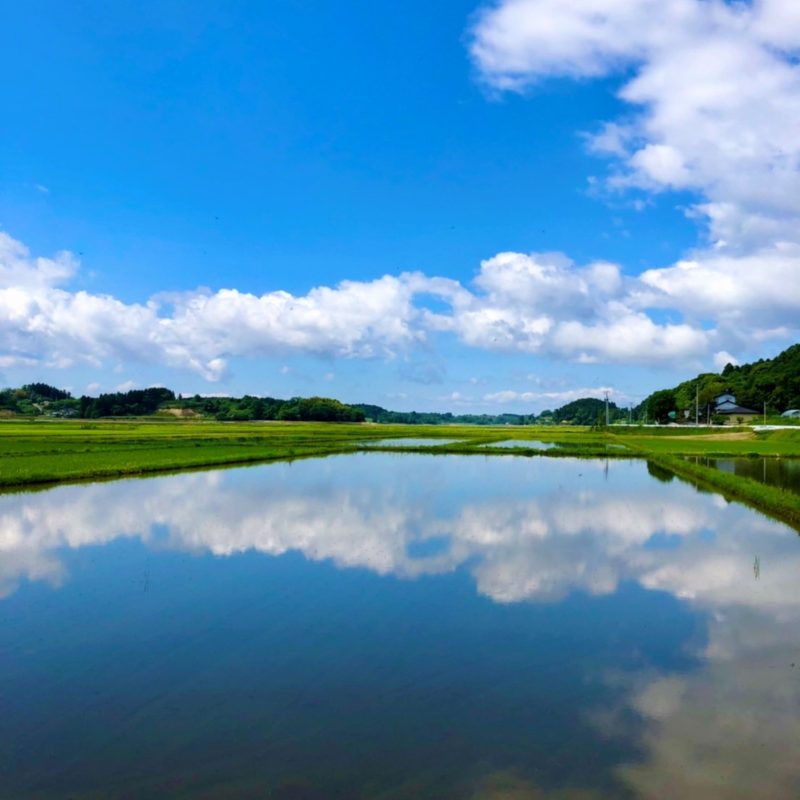 line_oa_chat_221031_135713