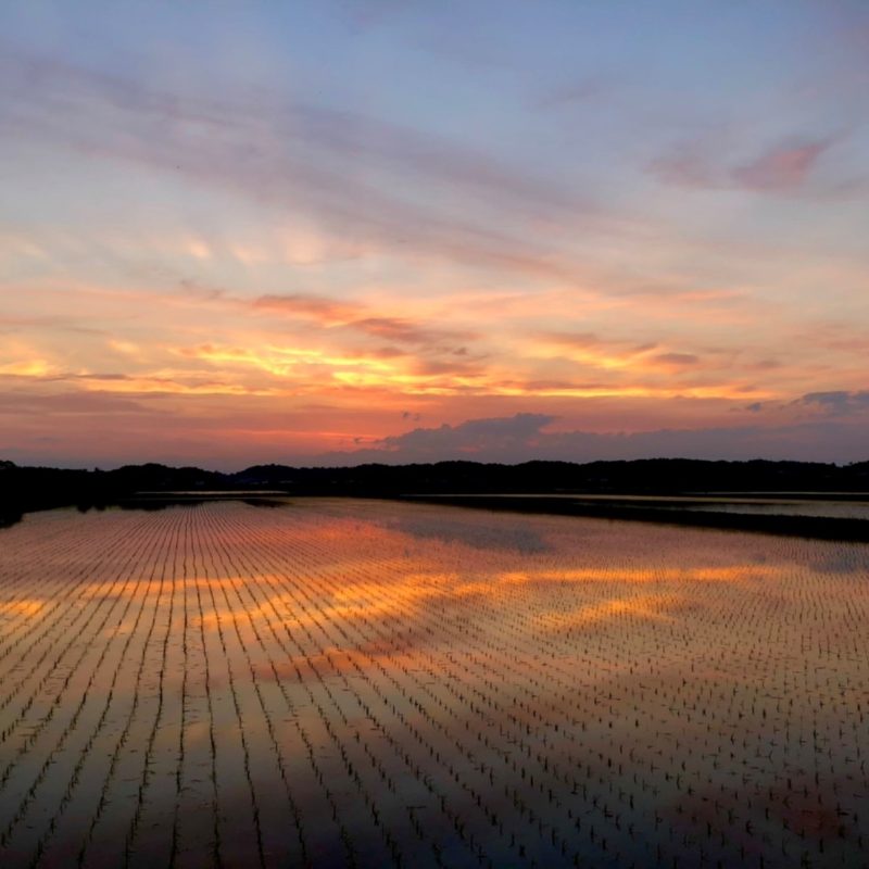 line_oa_chat_221031_135715