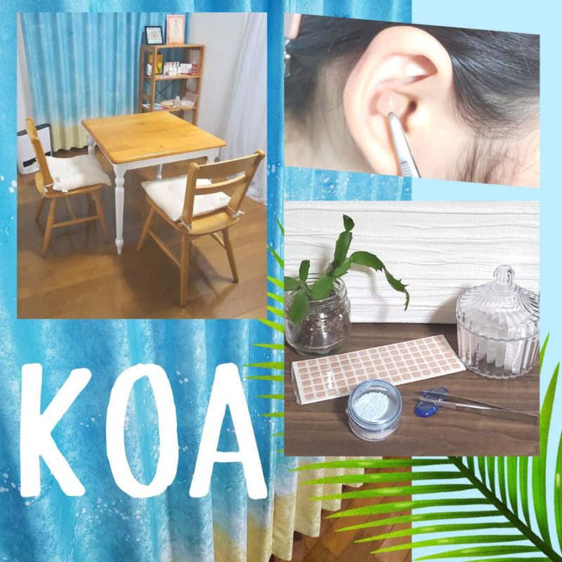 BBA76B6D-0687-4B03-A35D-E64AAAFF9F76