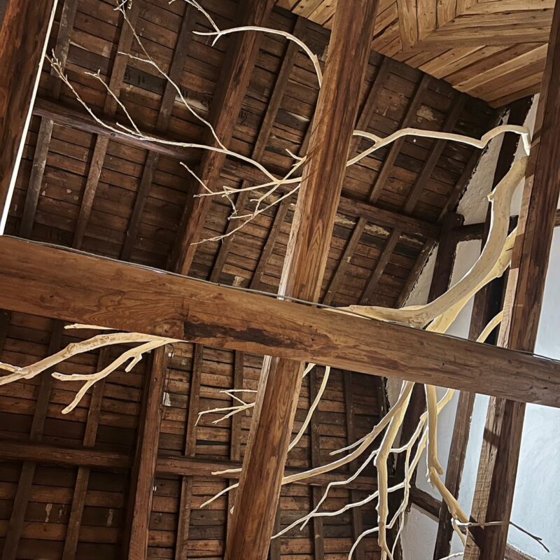 0BE98021-E308-4262-A038-886F6394DC08