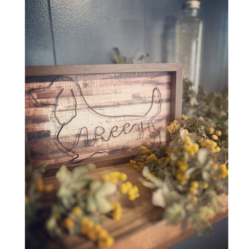 Beauty Studio AReey3