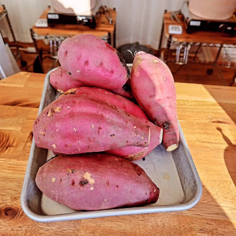 D833BE0E-2E16-44F9-A812-528B03C26906