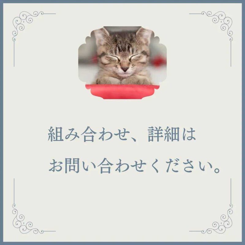 line_oa_chat_240422_171938