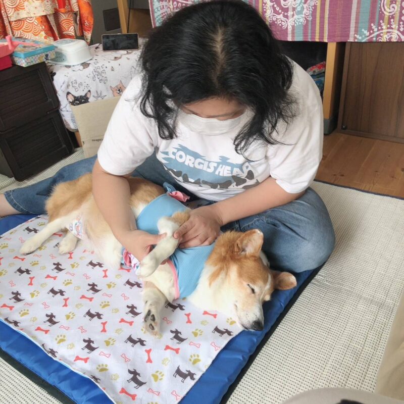 2F52D452-64DE-4CF3-A5EF-83BBEC88112B