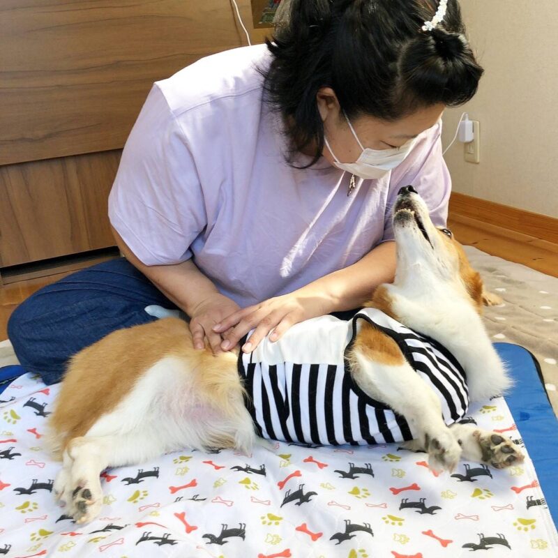 BBCF9DB5-777A-428E-8A98-20BC7F2E640B