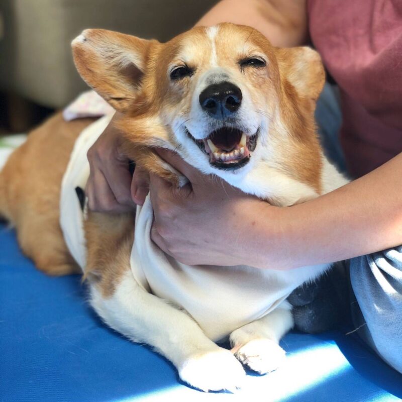 EADE9246-13D7-45EB-9671-6D309C1F28CF