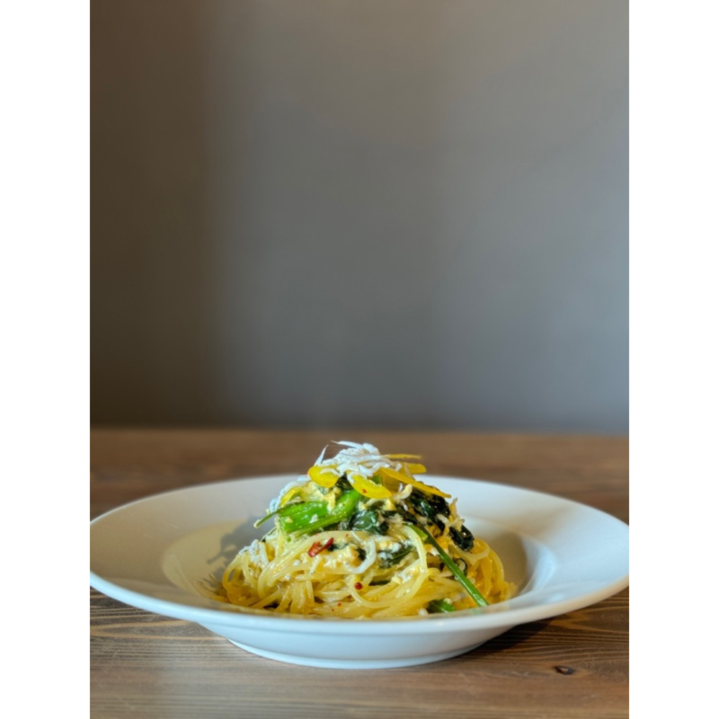 シャイニーアウル・熊本2