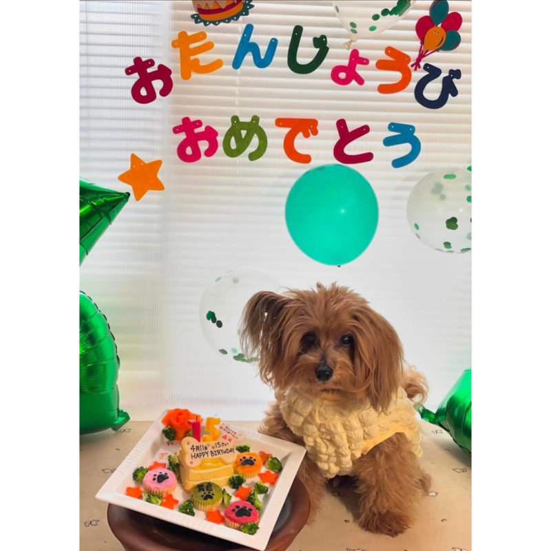 OHANA｜つなぐっど｜あなたの街の情報サイト