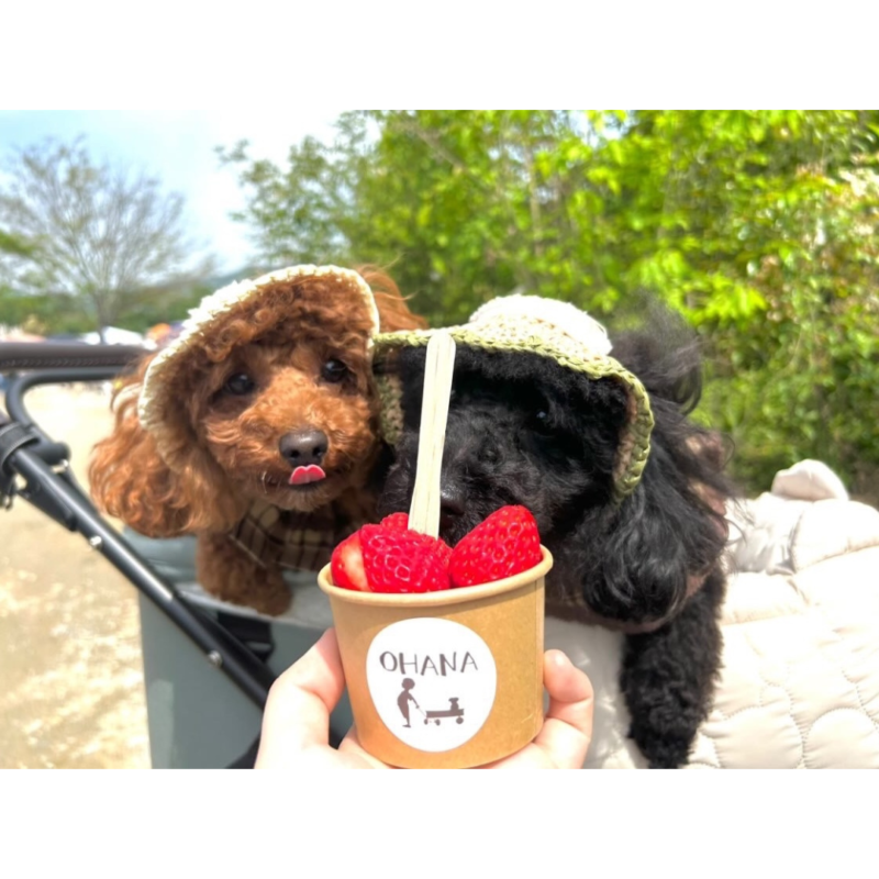 OHANA｜つなぐっど｜あなたの街の情報サイト