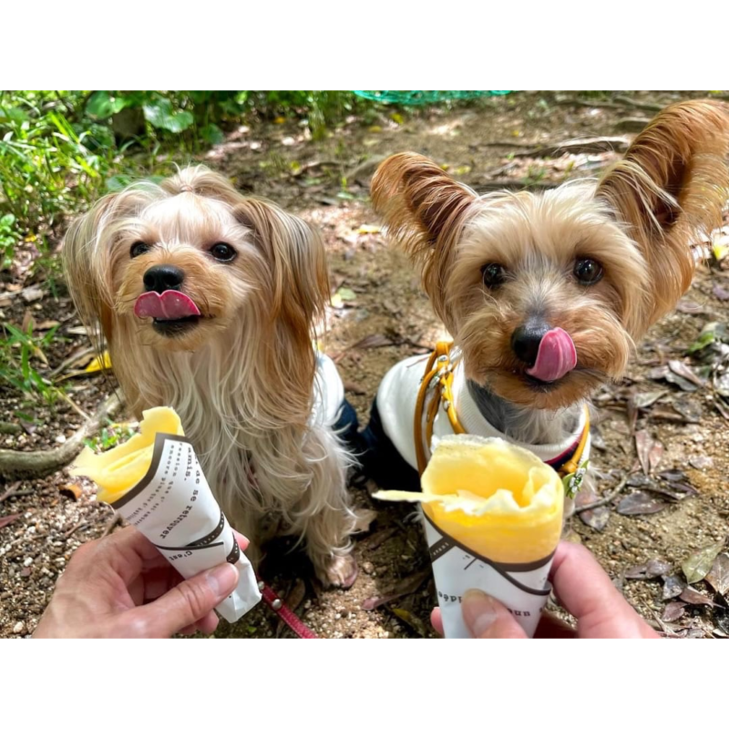 OHANA｜つなぐっど｜あなたの街の情報サイト