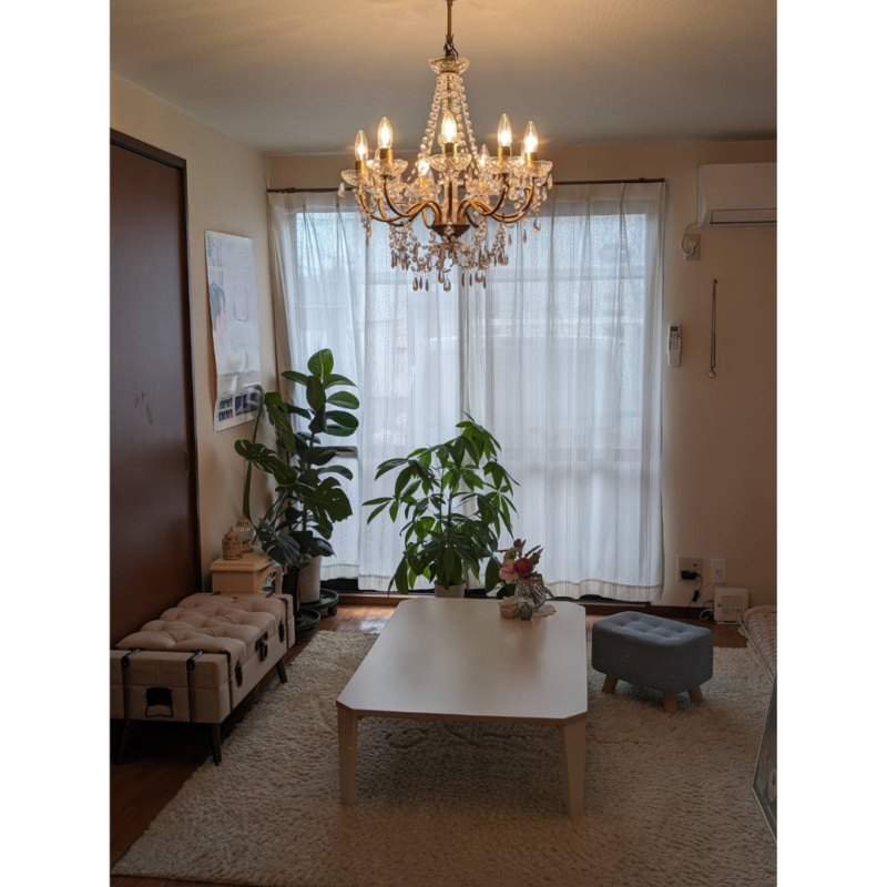 名称未設定のデザイン - 2024-07-08T095733.648