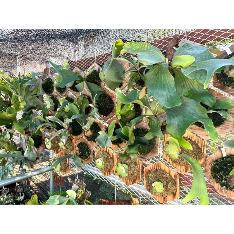 名称未設定のデザイン - 2024-09-18T103543.123